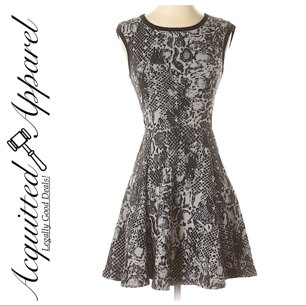 Aqua | Printed Black Gray Fit Flare Dress
